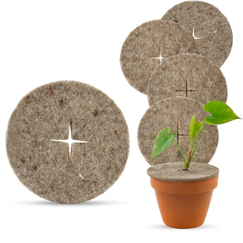 UNIGARDIA Öko-Schafwoll-Mulchscheiben, Ø 30 cm, 5 Stück | 100% Bio-Schafwolle, Winterschutz aus Schafwolle für Pflanzen, Pflanzenschutz im Winter, biologisch abbaubar
