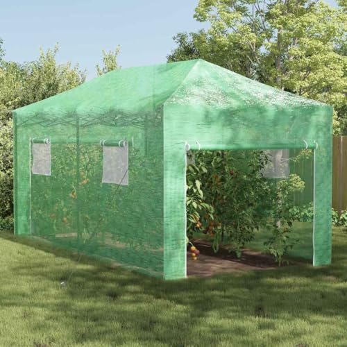 sephironlbb Invernadero con marco emergente verde 290 x 580 x 315 cm, hierro, transitable y estable, para jardín, terraza, balcón, adecuado para plantas, casa de tomate, semillero, cultivo de verduras