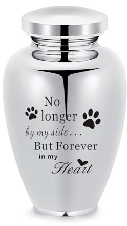 Große Urnens für Hund Katze Asche Einäscherung Urnen für menschliche Asche Edelstahl Beerdigung Memorial Keepsake Urnen für Ash Halter (B-Silber-No-L)