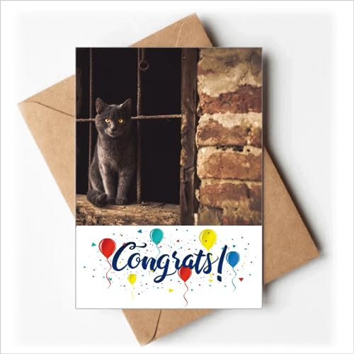 Animal Corner Katze Foto Bild Hochzeit Karten Glückwunsch Gruß Umschläge
