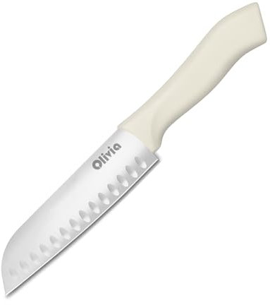 Coltello da Cucina Professionale in Acciao Inox - Lama da 17cm - Coltello affilato per tagliare Alimenti - Impugnatura Ergonomica in plastica - Coltello da Cuoco e Macellaio