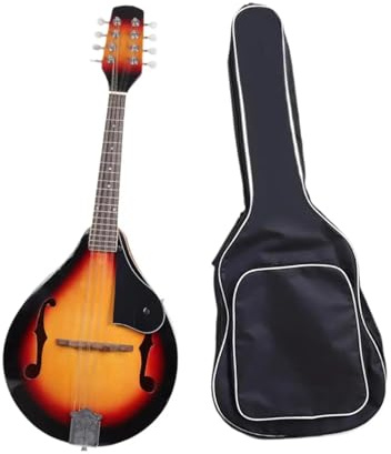 Mandolina Para Principiantes Los Instrumentos De Mandolina Vienen Con Un Estuche Y Son Adecuados Para Conciertos Prácticas Para Principiantes