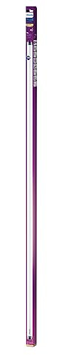 Philips LED Lysrör, T8, 1200mm, 16W, G13, Varmvitt ljus, 1-pack