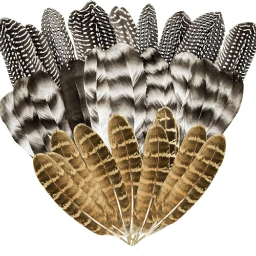 Hsthe Sea 30 st naturliga kalkonfjädrar för hantverk 3 stilar blandade hantverksfjädrar fläckiga fjädrar för blomsterarrangemang DIY-hantverkstillbehör