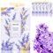 Bolsita Perfumada para Cajones y Armarios, Bolsitas Ambientadoras de Larga Duración, Bolsitas Colgantes para Potpourri con Fragancias para Casa Habitación, Armario y Coche, Lavanda