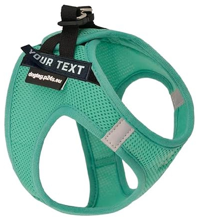 P24S SMART Step-In Hundegeschirr mit 2 kostenlosen benutzerdefinierte Namensaufkleber Klettsticker Wunschtexte für kleine Hunderassen mit Online Dogtag Service (Türkisgrün, XL (Brust: 64-72 cm))