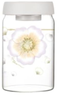 THUN - Barattolo ermetico grande - vetro - Collezione Country Bloom - 900 ML