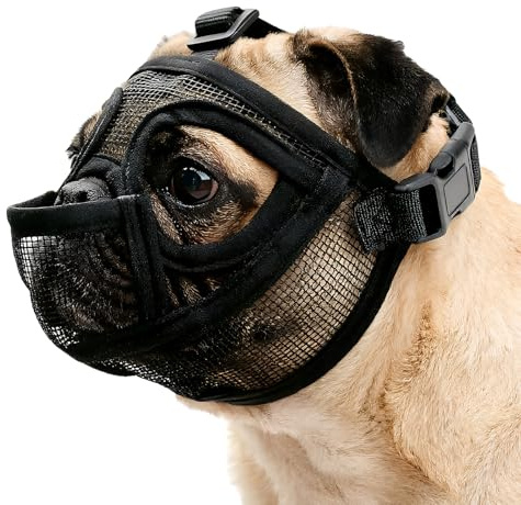Maulkorb für Kleine Hunde, Atmungsaktiver Muzzle für Kurznasenrassen, Verstellbarer Maulkorb Französische Bulldogge, Leichter Giftköderschutz für Spaziergänge Training Anti Biting Kauen Bellen