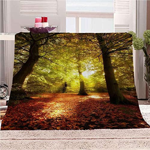 Kuscheldecke 80 x 150 cm 3D Tropisch Flanell Fleecedecke, Weich Warm Flauschig Decke Wald Wohndecke Decken für Sofadecke Couchdecke kuscheldecken für Kinder Erwachsene, Blanket