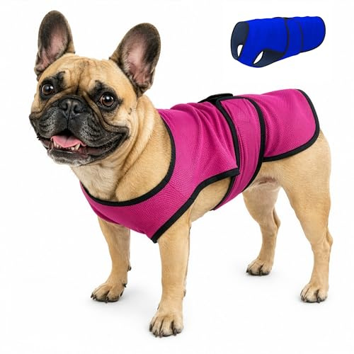 DOGZSTUFF Kühlweste für Hunde, leichte Jacke mit verdunstender Kühl-Mikrofaser-Technologie, UV-Schutz-Shirt für Strand, Größen für kleine, mittelgroße und große Hunde (M, Rose Pink)
