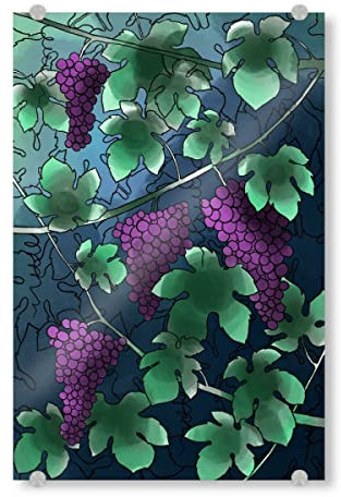 artboxONE Acrylglasbild 60x40 cm Natur Lila Wein Bild hinter Acrylglas - Bild weinreben abstrakt Botanical