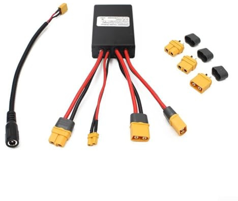 Double module de batterie pour vélos électriques - Surveillance optimisée du courant de sortie et de la tension pour une efficacité optimale (30 A)
