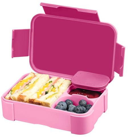 LEIKEEGO Lunch Box Kids,Leak-Proof Bento Lunch Box with Compartments for School, Work (Pink)