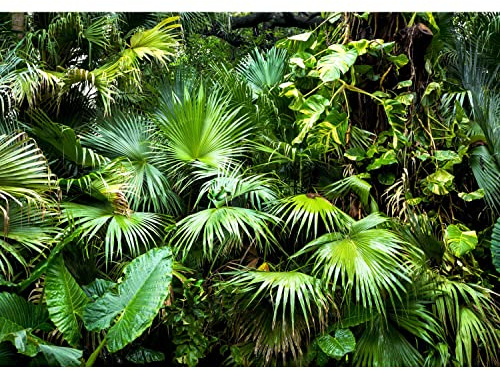 Runa Art Papier peint intissé plante tropicale 3D 352 x 250 cm Toison Mur XXL Tableaux Muraux Tapisserie Photo Décoration Murale Salon Chambre vert 9465011a
