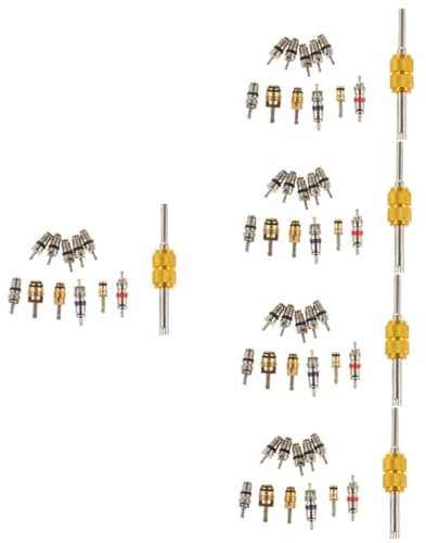 GLEAVI 5juegos para Extracción De Núcleos De Válvula De Aire Acondicionado Herramienta De Reparación para Automóviles Instalación y Dismantle