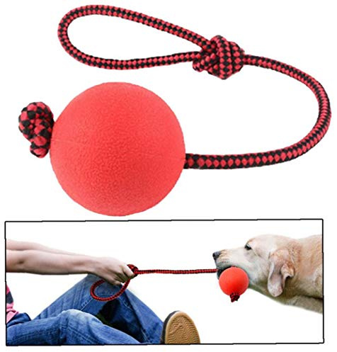 AMOYER Dressage d'animaux Une Balle Chien Élastique Balle Jouet avec Une Corde De Sécurité Solide en Caoutchouc Naturel Chewing Jouets pour Animaux Soins Dentaires Jouets
