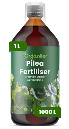 Fertilizzante Liquido Per Pilea - 1L - NPK 3-4-3 | Concime Per Foglie Decorative E Crescita Sana - Rafforza Radici E Vitalità - Organifer