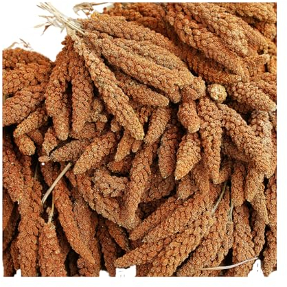 Dovita Vital rote Kolbenhirse (1 kg)