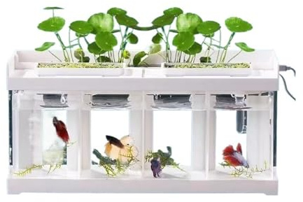 Terrarium Aquarium mit 4 Fächern, transparentes Acryl, for den Schreibtisch, Meeresfischzucht, Spezialtank, kreatives Kampffischaquarium mit weißer Abdeckung Insekten Schildkröten