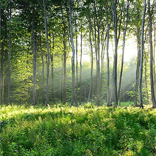 Tapete,Moderne Grüne Outdoor-Wald-Sonnenlicht-Landschaft, Natur, Große Selbstklebende Tapete Zum Abziehen Und Aufkleben, Abnehmbares Kontaktpapier, Vinyl-Wandbild, Geeignet Für Dekoratives Schlafzim