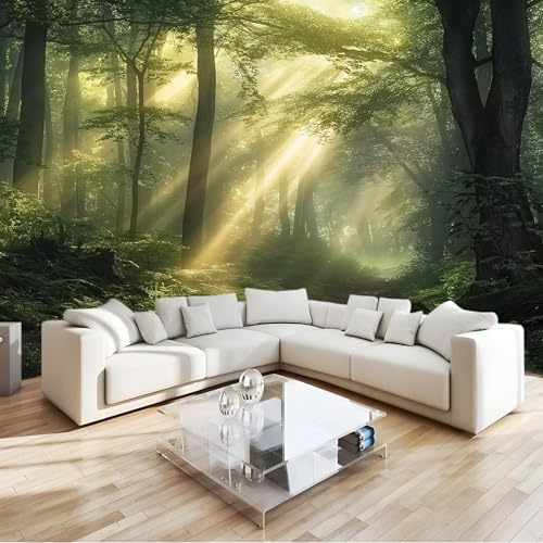 Carta da parati Verde Bosco Nebbia Sole Fotomurali Murale alla moda Decorazione da Muro Poster 250x175 cm Gigante Design Carta per pareti Ornamento