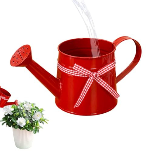 Annaffiatoio – Vaso decorativo in metallo da 1 l, annaffiatoio per piante da interno, annaffiatoio per interni ed esterni, per casa, ufficio, bonsai, giardino, piantine, elegante accessorio