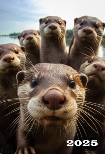 2025: A6 Wochentaschenkalender | 1 Woche auf 2 Seiten Terminplaner | Buchkalender im Mini Format | Lustige Otter Kalender | Jahresplaner Kalenderbuch ... | Agenda Planer Klein & Kompakt