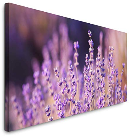 Paul Sinus Art GmbH Lavendel Nahaufnahme 120x 50cm Panorama Leinwand Bild XXL Format Wandbilder Wohnzimmer Wohnung Deko Kunstdrucke