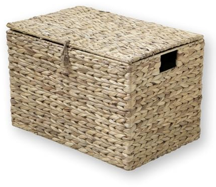 Casâme Coffre de Rangement - avec Couvercle et Poignées - en Jacinthe d'eau - Fibres Naturelles - Malle de Rangement - Style Nature - Beige - L50 x P35 x H34 cm