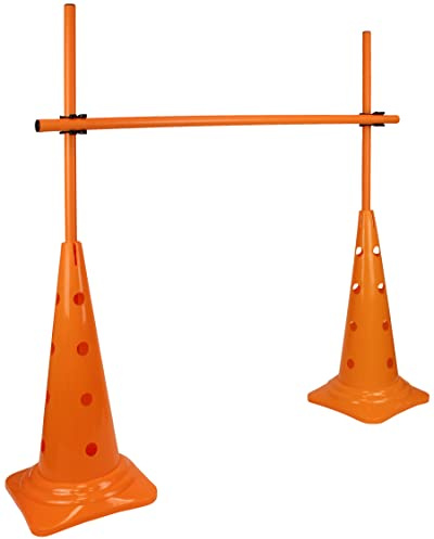 SPORTIKEL24 Set di ostacoli con 50 pali – 100 cm – Arancione – Ostacolo da allenamento con altezza regolabile – Ostacolo a innesto per agilità, calcio e sport cinofilo