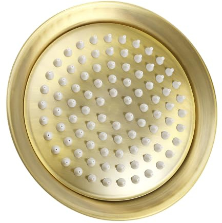 Piastra Doccia a Soffitto in Acciaio Inox Marrone 8 Pollici | Hotel e Casa, Prestazioni Affidabili anche Bassa Pressione, Design Compatto