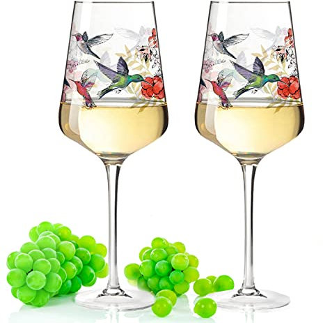 Leonardo Puccini Verres à vin avec impression UV – Design colibri – Cadeau pour les amateurs de vin pour un barbecue, une fête d'été, pour elle et lui, pour le vin, les cocktails, l'apéritif et la