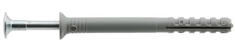 ACP Nageldübel L2 100 Stk. (6,0 x 60,0 mm)
