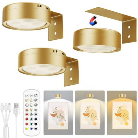 Xuolder Picture Lights for Wall,2000mAh Rechargeable Battery Poster Lights LED Magnetic Painting Light with Remote Control,3 Color Temps&12 RGB Timer Dimmable Wall Light for Art Display Wall Decor