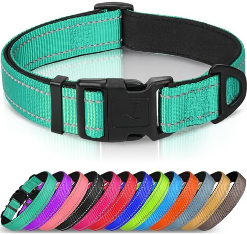 Joytale Collier pour Chien en Nylon avec Bande Réfléchissante,Collier Rembourré Classique pour Moyenne Chien,Turquoise,M