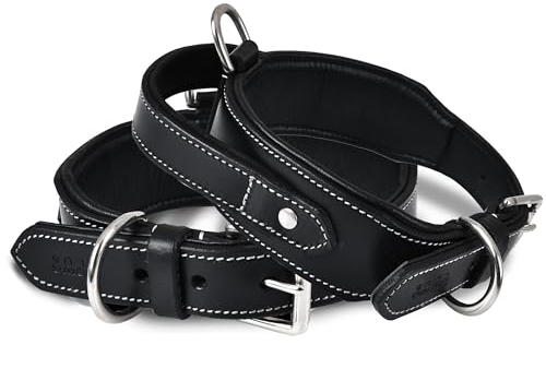 DowgClub | Taktisches Hundehalsband mit Griff | Echtes Leder in Sattelqualität, strapazierfähig, bequem, gepolstert, stark, ideal für mittelgroße, große und XL-Rassen (M (Halsumfang 37-47cm), Schwarz)