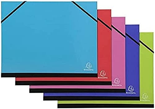 Exacompta Zeichenmappe Iderama 52x72 cm für Raisin Zufällig