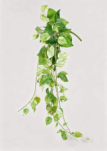 Afloral Natural Touch Pothos Artificial Plant - 48