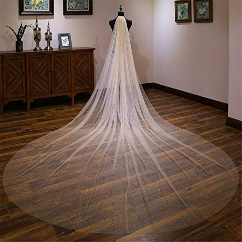 Hochzeitsschleier Brautschleier Kathedrale Hochzeitsschleier Lang Trailing Hochzeitszubehör für Brautdusche (Farbe: Champagnergröße: 400 cm x 300 cm) (Champagner 400 cm x 300 cm)