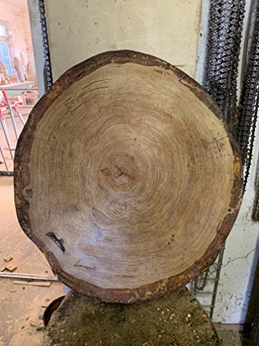 KJR Holzmanufaktur Baumscheibe, Holzscheibe,ca.60x5 cm, Tischplatte, Eiche, geschliffen, geölt