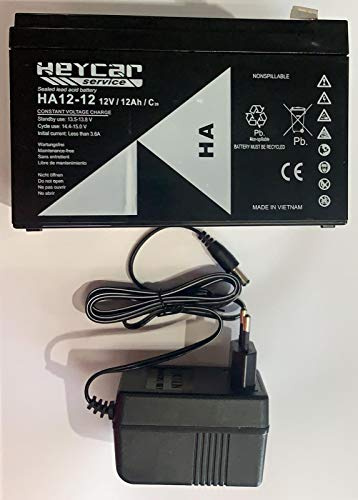KIT BATTERIE 12V ET 12AH + CHARGEUR 12V POUR VOITURE ÉLECTRIQUE POUR ENFANTS