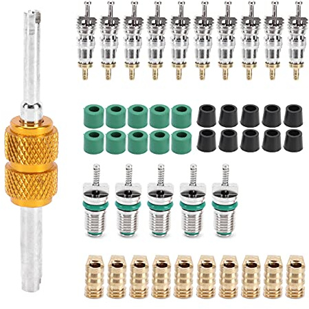 Noyau de Valve de Climatiseur, 46 Pièces/Ensemble Noyaux de Valve Schrader Outil D'installation de Dissolvant de Démontage A/C pour R410/R22/R134a