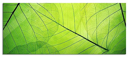 Pixxprint Glasbild Panorama, Wandbild aus Echtglas, Wunderschöne Zarte grüne Blätter, 120x50 cm, inkl. Aufhängung und Abstandshalter