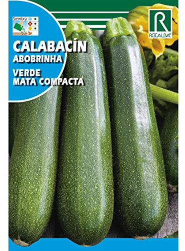 Semillas de Calabacín verde mata compacta - Calidad y Versatilidad ?