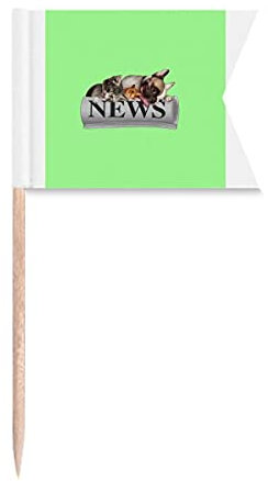 Rollo Periódico Pet Group Art Deco Regalo Moda Palillo Banderas Etiquetado para Fiesta Pastel Alimentos Queso