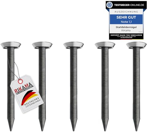 30 chiodi da 25 mm di lunghezza – Chiodi in acciaio per uso su cemento, mattoni, intonaco e legno – Chiodi in acciaio temprato come immagini da appendere – Made in Europe (testa argentata, 25 mm)