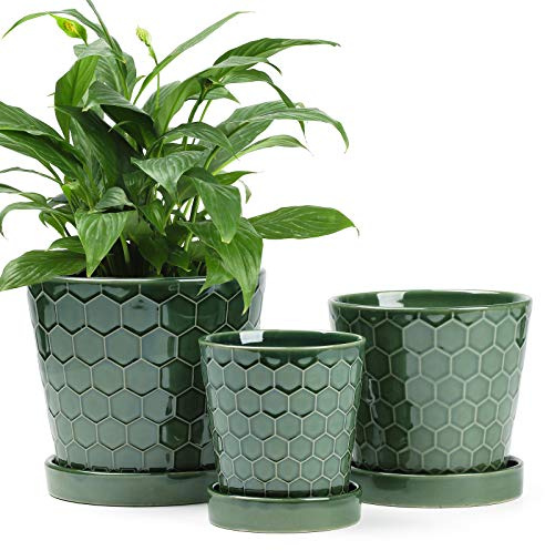 BUYMAX Ceramic Plant Pot – 4”+5”+6” inch Ceramic Flower Pot with Drainage Holes and Tray - Gardening Home Desktop Office Windowsill Decoration Gift Set 3 (Patina)