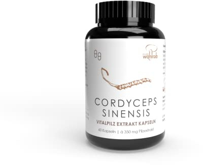 Pilze Wohlrab - Cordyceps Kapseln hochdosiert - 60 Stück - 350 mg Cordyceps sinensis Extrakt je Kapsel - Bio Acerola Vitamin C