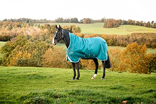 Horseware Amigo Bravo 12 Wug medium Storm Green Größe wählbar