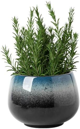 Bemonew Pot de Fleurs en Forme de Bol Lotus, Pots Plantes Ronds en céramique 4, 2 x 4 Pouces, Bol Fleur Lotus décoratif Vintage avec Base antidérapante pour Plantes hydroponiques, Style 2